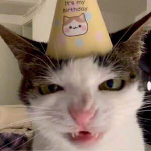 Meet your Posher, Sydney